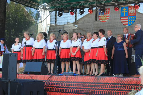 XIX Świętokrzyskie Dożynki Wojewódzkie w Opatowie